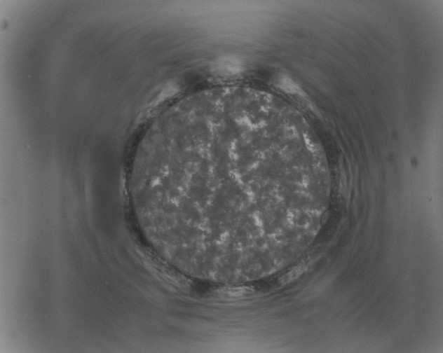 X0000077390711200611101754