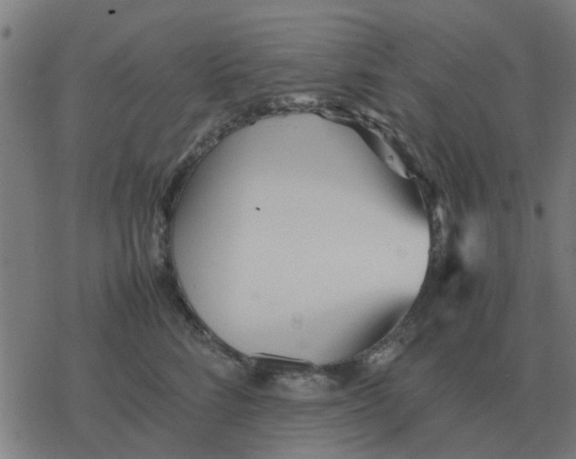 X0000077390712200611101754