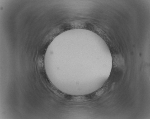 X0000077390713200611101754