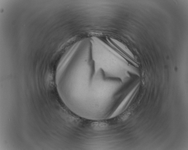 X0000077390714200611101754