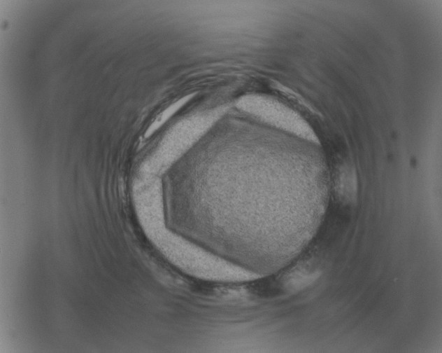 X0000077390715200611101754