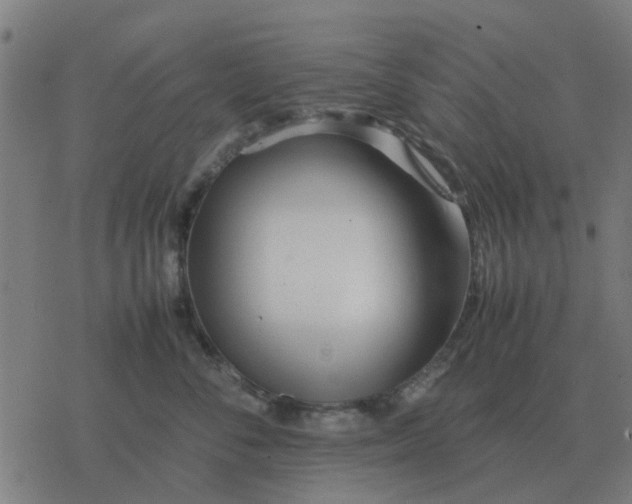 X0000077390716200611101754