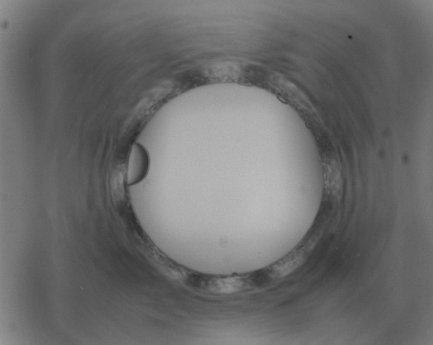 X0000077390717200611101754