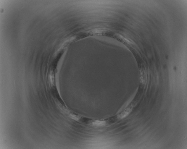 X0000077390718200611101754