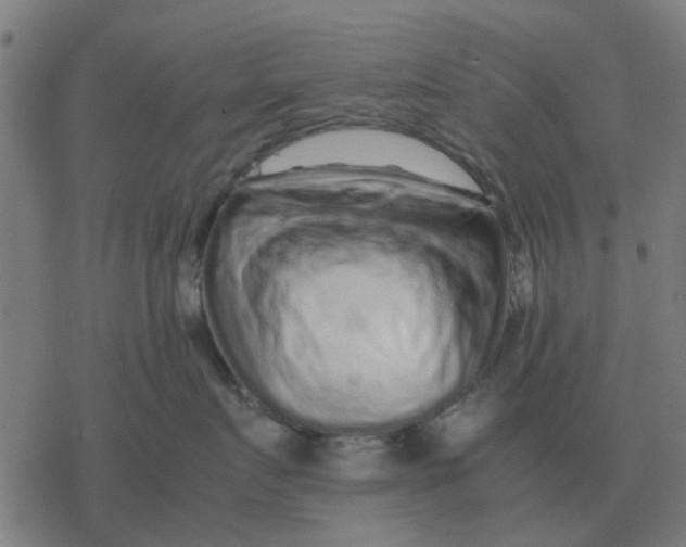 X0000077390719200611101754