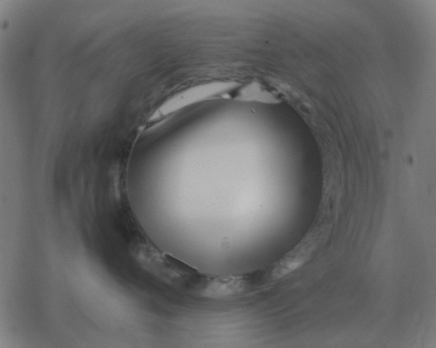 X0000077390720200611101754