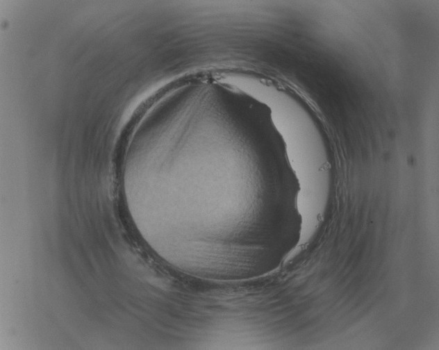 X0000077390724200611101753