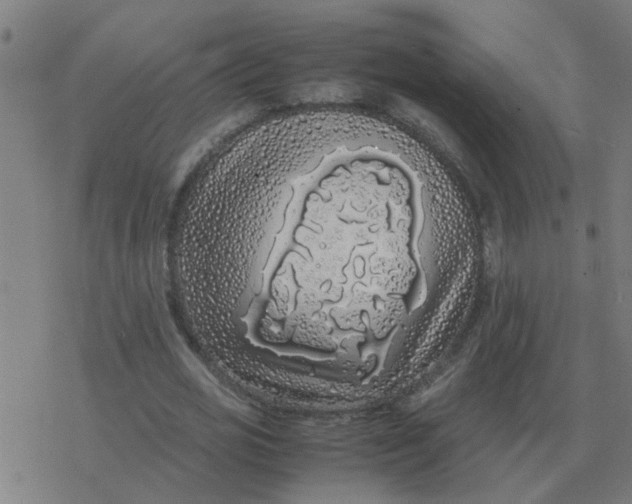 X0000077390725200611101754