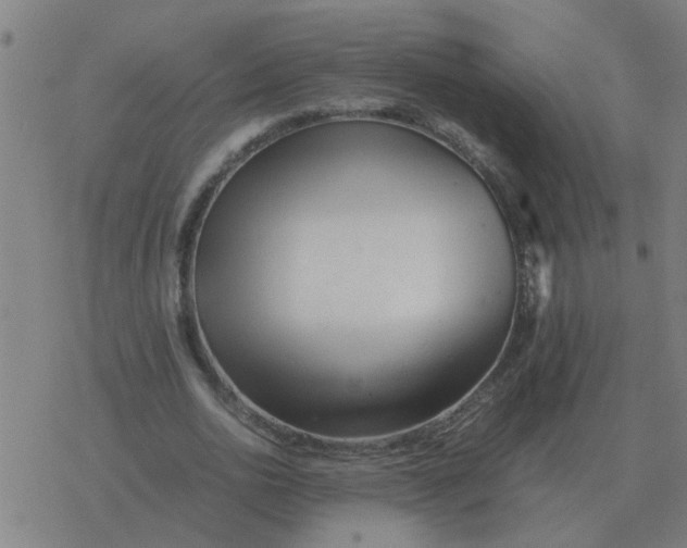 X0000077390726200611101754