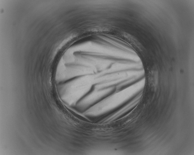 X0000077390727200611101754