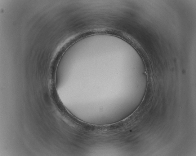 X0000077390728200611101754