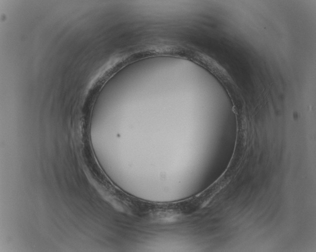 X0000077390730200611101754