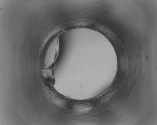 X0000077390731200611101754