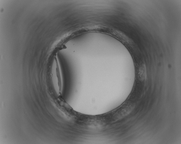 X0000077390732200611101754