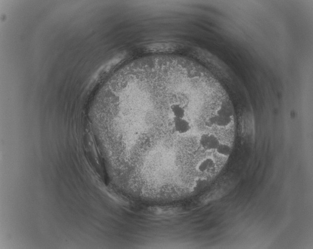 X0000077390733200611101754