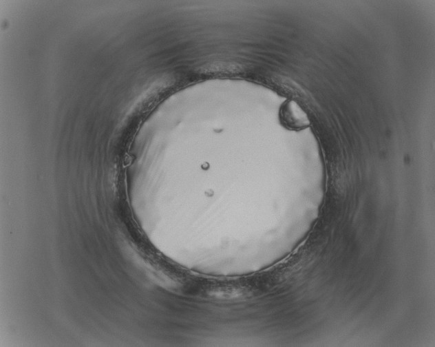 X0000077390735200611101754