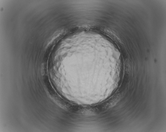 X0000077390738200611101754