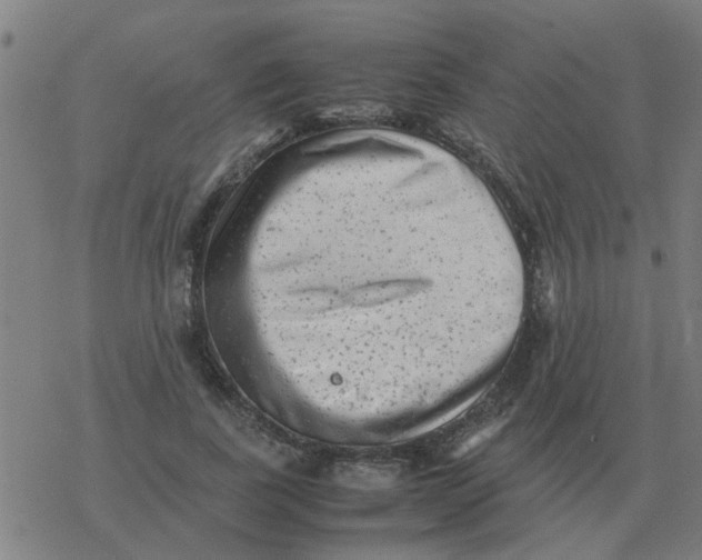 X0000077390739200611101754