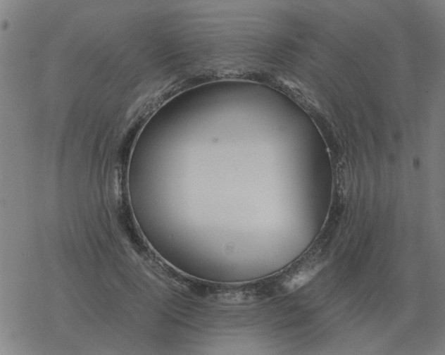 X0000077390740200611101754