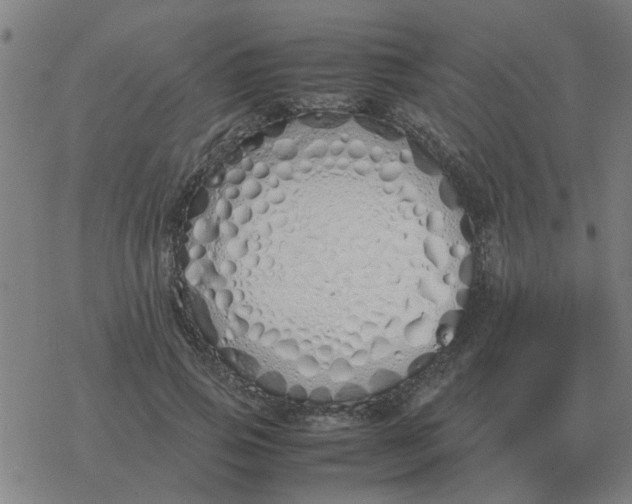 X0000077390741200611101754