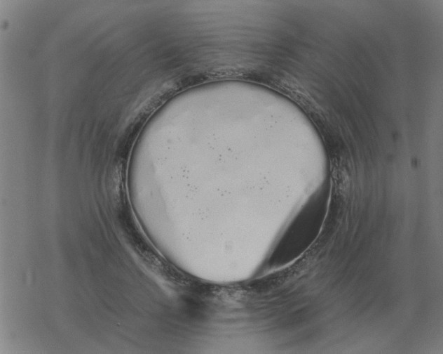 X0000077390742200611101754