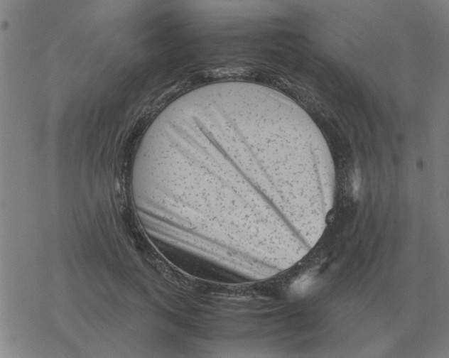 X0000077390743200611101754