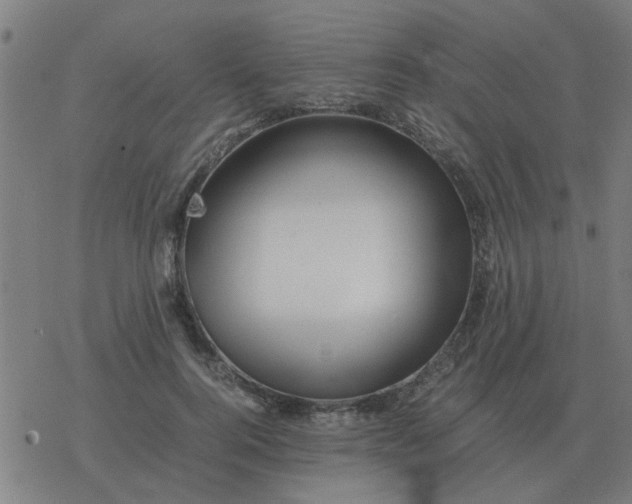 X0000077390744200611101754