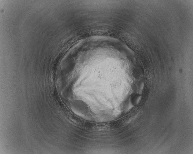 X0000077390745200611101754