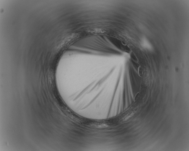 X0000077390747200611101754