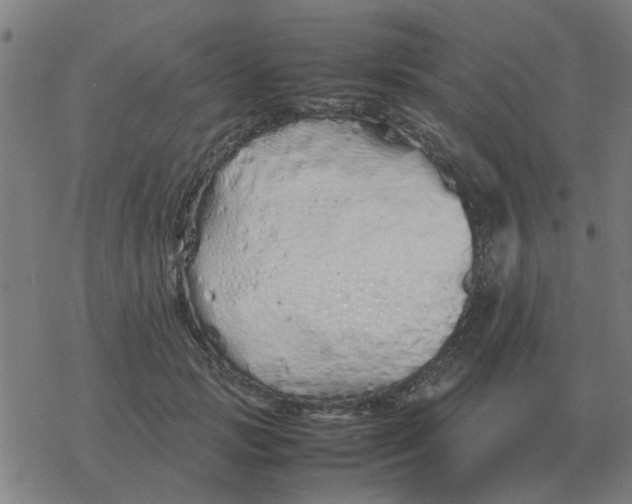 X0000077390749200611101754