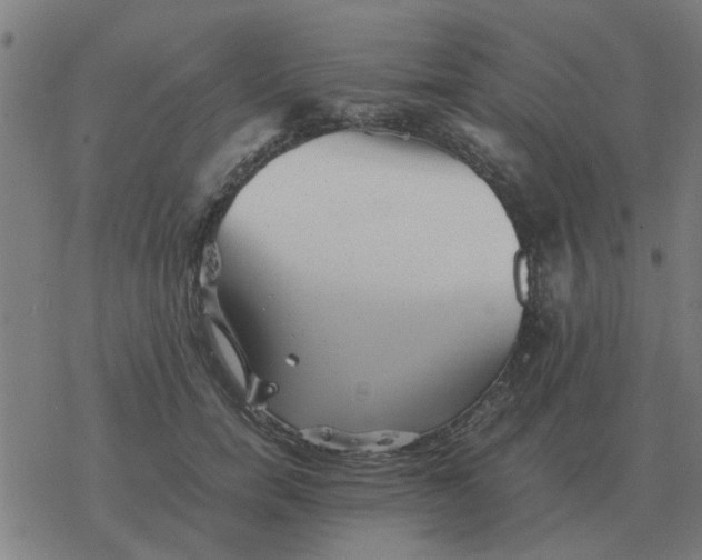 X0000077390750200611101754