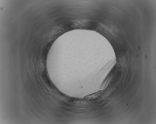 X0000077390751200611101754