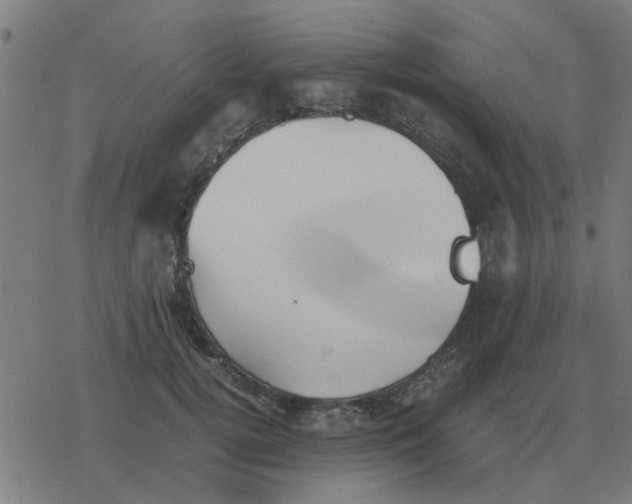 X0000077390752200611101754