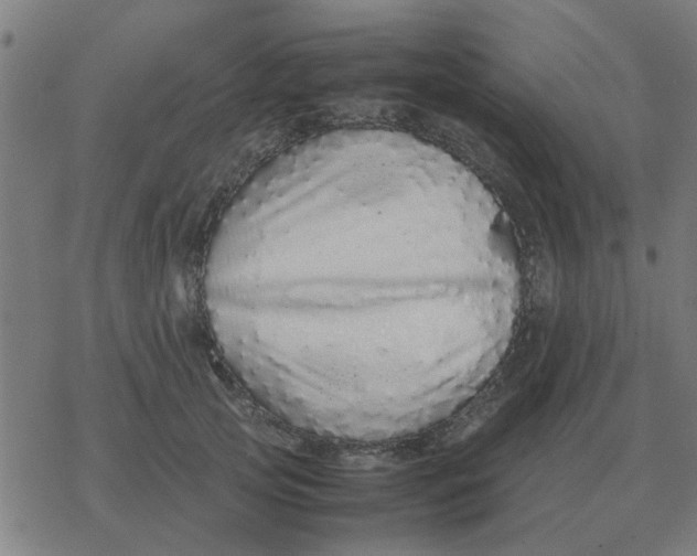 X0000077390753200611101754