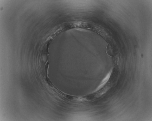 X0000077390754200611101754