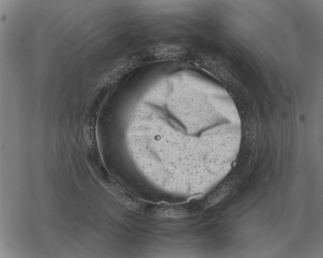 X0000077390755200611101754