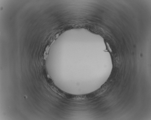 X0000077390756200611101754