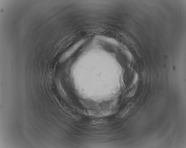 X0000077390757200611101754