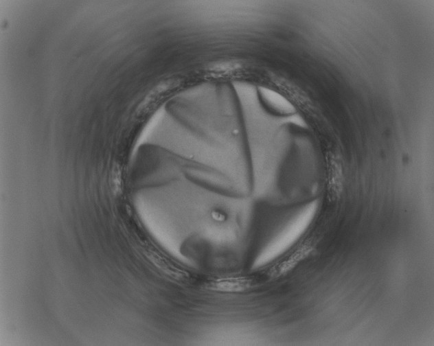 X0000077390758200611101754