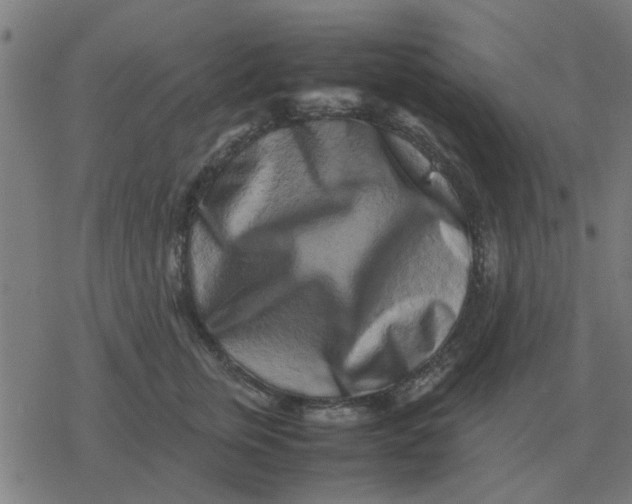 X0000077390759200611101754