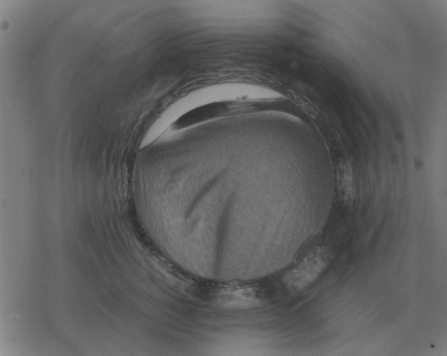 X0000077390760200611101754