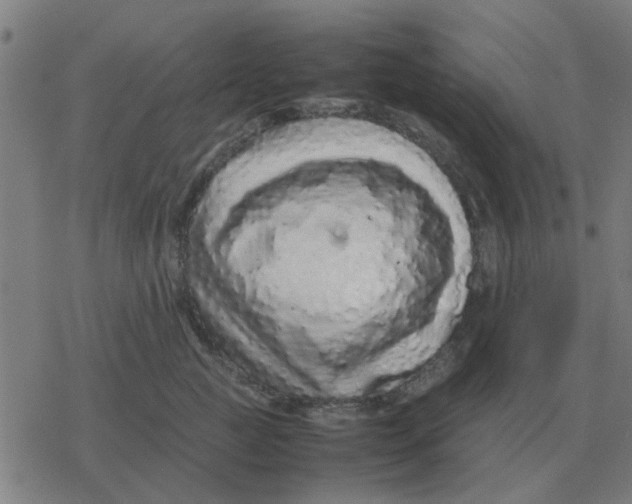 X0000077390761200611101754