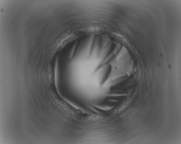 X0000077390762200611101754