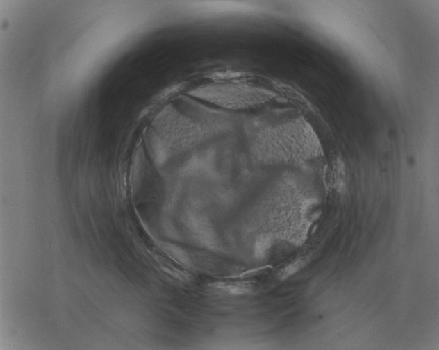 X0000077390763200611101754