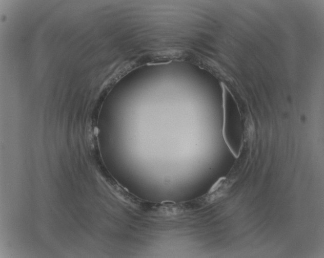 X0000077390764200611101754