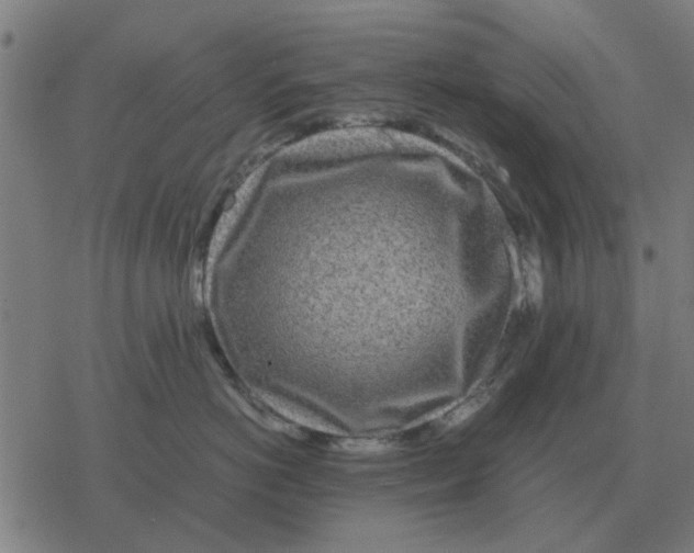 X0000077390766200611101754