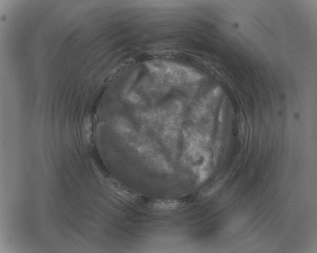 X0000077390767200611101754