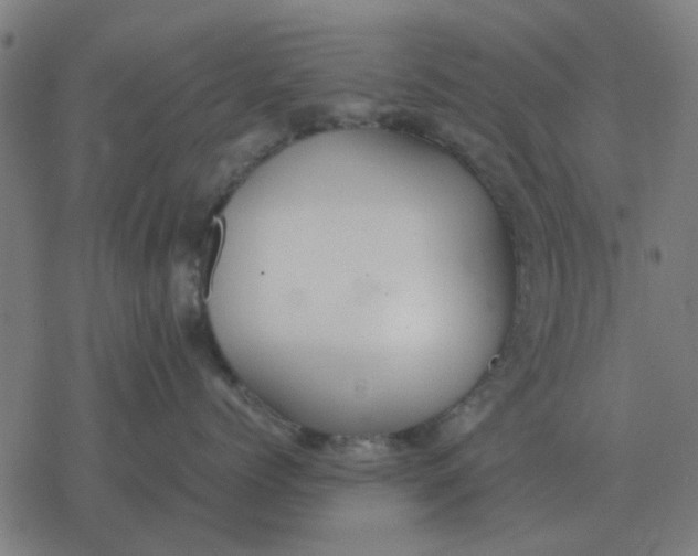 X0000077390768200611101754