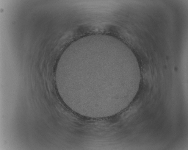 X0000077390769200611101753