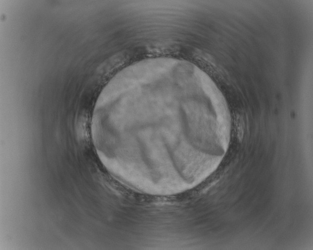 X0000077390770200611101753